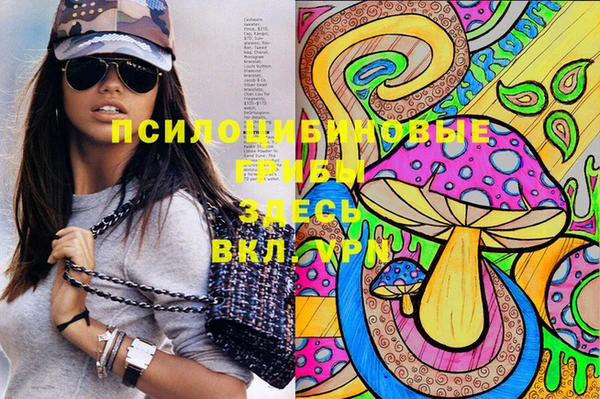 альфа пвп Медвежьегорск