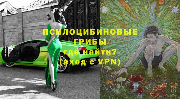 бошки Мегион