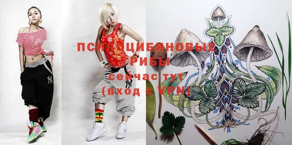 бошки Мегион