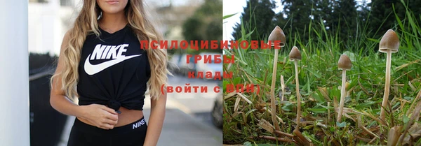 альфа пвп Медвежьегорск