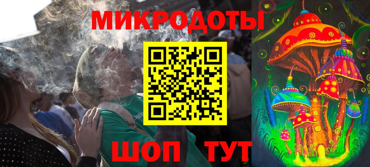 Галлюциногенные грибы Psilocybe Канск