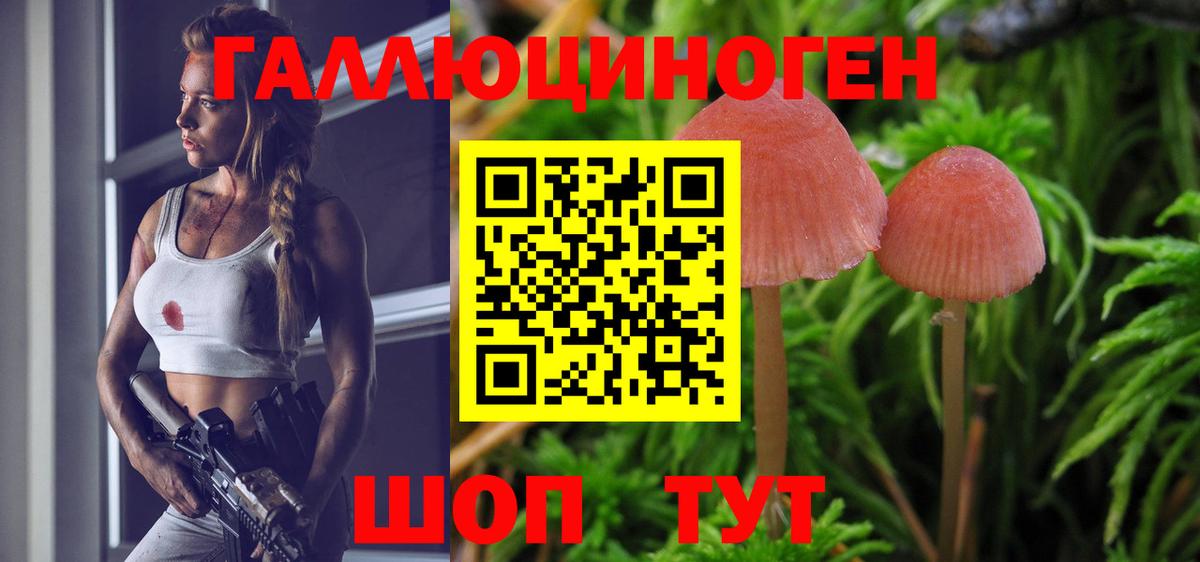 Канск  Галлюциногенные грибы мухоморы  Вход с VPN 
