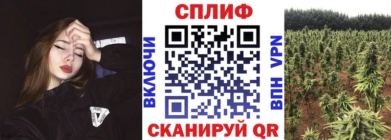 хочу наркоту  Канск  Марихуана марихуана 